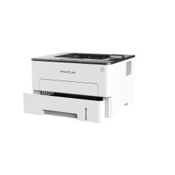 PANTUM P3010DW